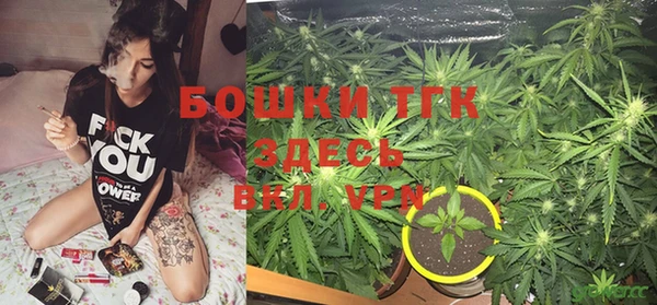 ГАЛЛЮЦИНОГЕННЫЕ ГРИБЫ Балахна