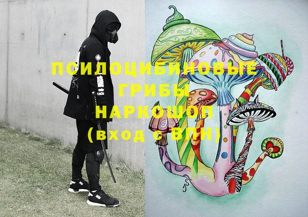 ГАЛЛЮЦИНОГЕННЫЕ ГРИБЫ Балахна