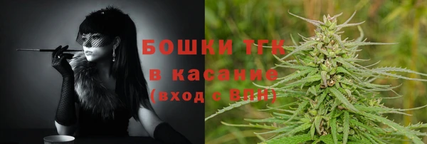 ГАЛЛЮЦИНОГЕННЫЕ ГРИБЫ Балахна