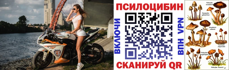 мега как зайти  Щёкино  Псилоцибиновые грибы прущие грибы 